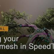 SpeedTree 10 Using Your Hero Mesh
