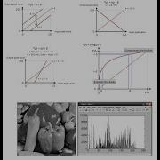 Image Gray Level Adjustment