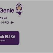 Human IL6 ELISA Kit SKU HUFI00180 ELISA Genie