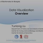 B4B Module 3 Data Visualization Overview
