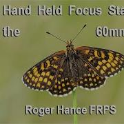 Hand Held Focus Stacking Using The OM1 And The 60mm Macro