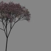 Processing Tree Generation Test