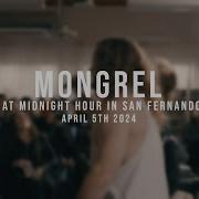 197 Media Mongrel 04 05 2024