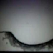 Coolest Flipnote EVER
