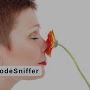 PHP CodeSniffer