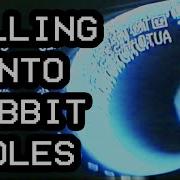 Analog Video Feedback Loops Falling Into The Rabbit Hole