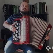 Ромашка белая баян Weltmaister