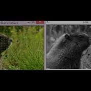 Dense Optical Flow Test In Opencv 3 0 Rc1