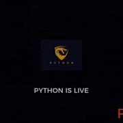 PYTHON BTR 1063 Meter Headshot
