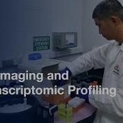 FC Imaging And Transcriptomic Profiling To Evaluate CD1d Trafficking Protocol Preview