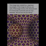 An Illusion Image That Can Tests You Are Stressed Or Not Everyminute Health