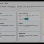 Widget Options Overview