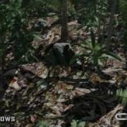 Crysis Game Engine Features HD Upload
