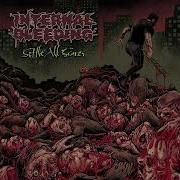 Internal Bleeding Settle All Scores Full Album New York Slam Death Classic