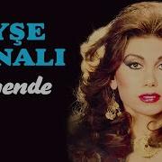 Ayşe Tunalı Sende Git Sevme Unut