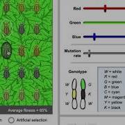 Gizmo Lab Artificial And Natural Selection