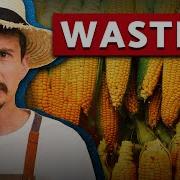 Why The Government Pays Farmers NOT To Farm