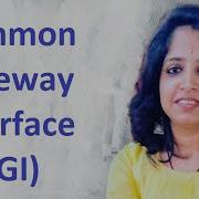 Common Gateway Interface CGI