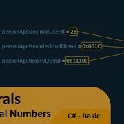 C Tutorial Basic 020 Integral Numbers Literals