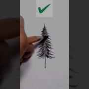 Right Way To Draw Pine Tree Art Ytshorts Shorts Short