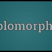 Holomorphic Meaning