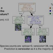 Понимание деревьев решений с использованием Python Scikit Learn