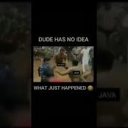 Java Vs Python Shorts