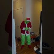 How The GRINCH Ruined My Christmas