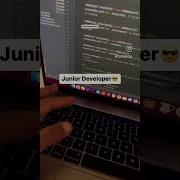 Junior Vs Senior Developers Shorts