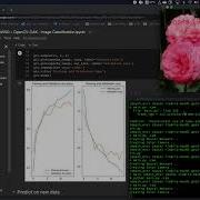 OpenCV OAK Flower Classification Demo Training To Deploy All In One Example