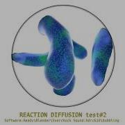REACTION DIFFUSION Test2