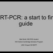 A Start To Finish Guide To Target Gene Validation Using Quantitative RT PCR
