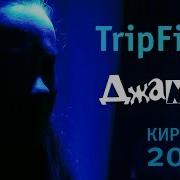 TripFish Live Кириши 2019
