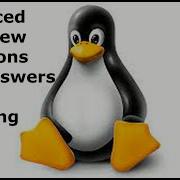 Important Shell Scripting Interview Questions And Answers Shell Scripting