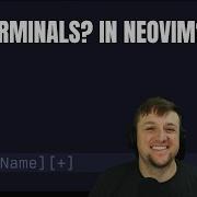 Neovim Has It S Own Terminal