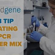 Creating A PCR Master Mix Lab Tip