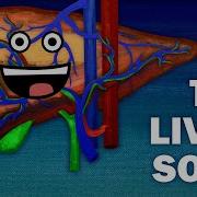 THE LIVER FUNCTIONS SONG
