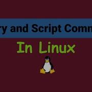 Linux History And Script Commands