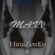 Hiraizerdüş Mavi Trap