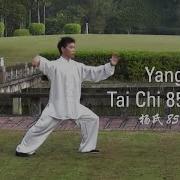 Yang Style Tai Chi 85 Form Part 2 杨氏85式太极拳
