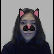 Creating Snapchat Like Filters From Scratch Using Computer Vision Techniques