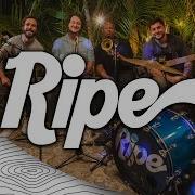 Ripe Full Set Live Music Sugarshack Sessions