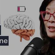 Neuroscientist The Truth Behind Memory Loss And How To Stop It With Exercise Dr Wendy Suzuki