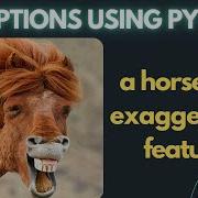 AI Powered Image Caption Generator Python Project Tutorial 2025