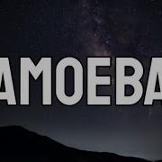 Clairo Amoeba Lyrics