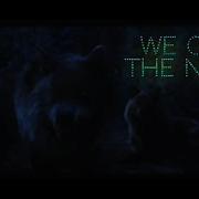 Twilight Wolves We Own The Night