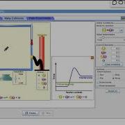Unit 5 Collision Theory Simulation
