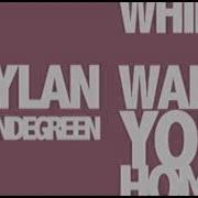 Dylan Mondegreen While I Walk You Home