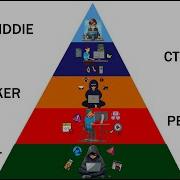 5 Levels Of Hacking What Level Of Hacking Are You
