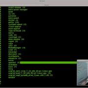 Linux Ram Usage With Ps Mem Py